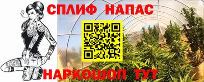 спиды Бузулук