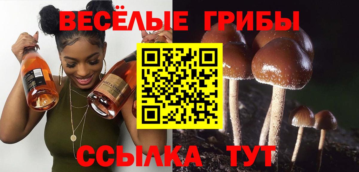 Псилоцибиновые грибы Psilocybe  Галлюциногенные грибы MAGIC MUSHROOMS  Сегежа  Вход с VPN 