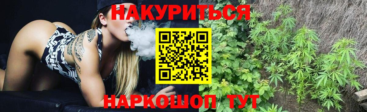 МАРИХУАНА план Сегежа